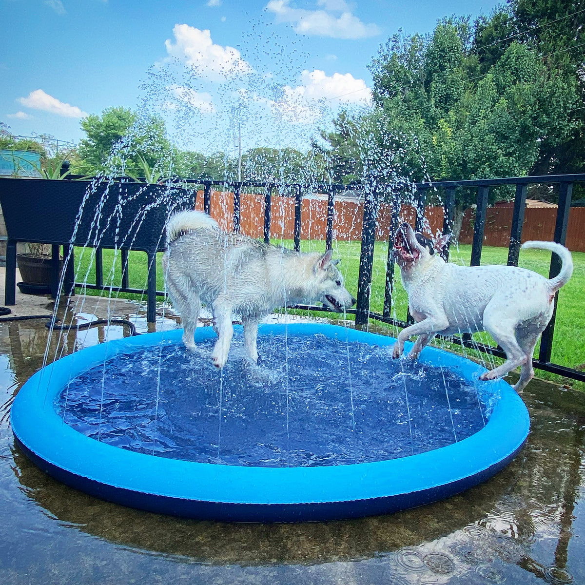 Runde Wasserspielmatte Mit Delfin-Sprinkler - 100cm/170cm Splash Pad Für Kinder & Hunde