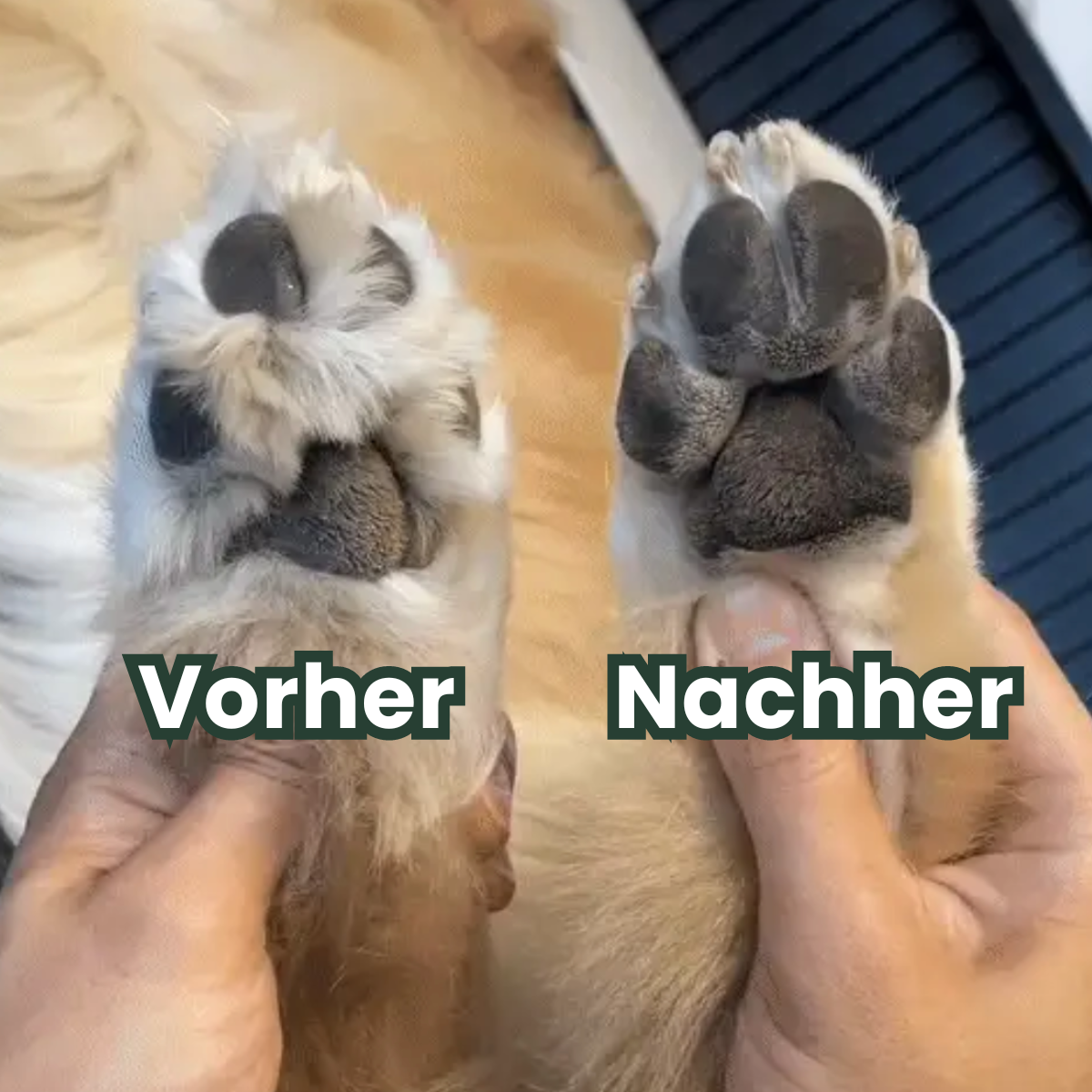 PawTrim Pro™ - Präziser Pfotentrimmer für Hunde & Katzen