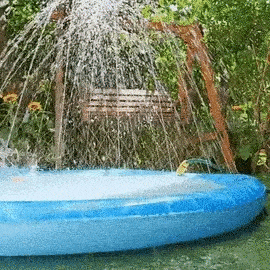 Sprinkler Wasserspielmatte für Hunde